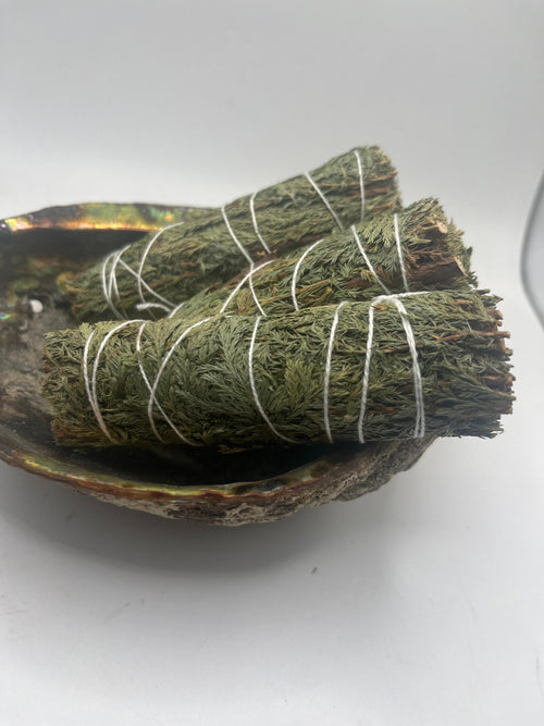 Cedar Sage